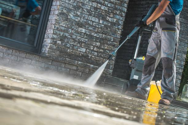 Best Roof Cleaning and Mildew Removal in Sterling, CO