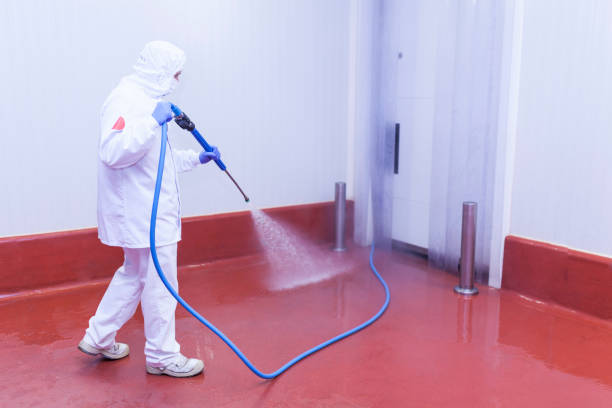 Best Graffiti Removal Services in Sterling, CO